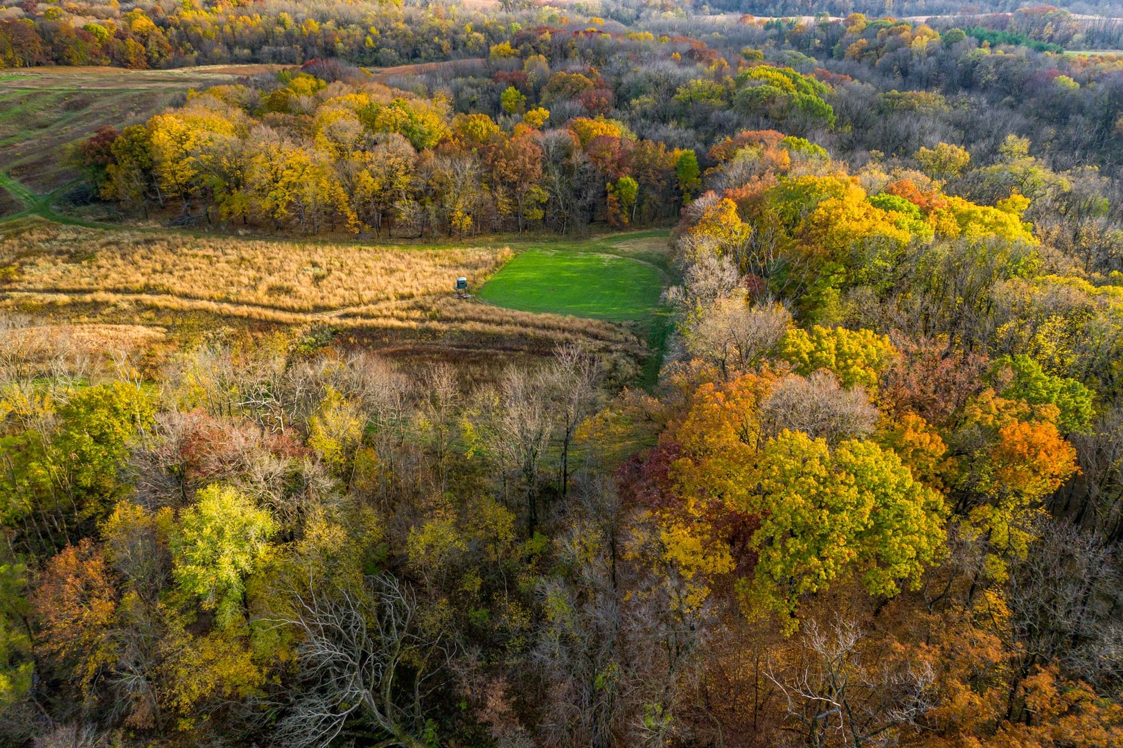 17501 Bishop Road Morrison, IL 61270 - Photo 50 of 167