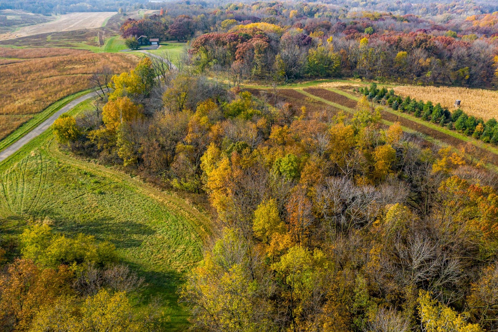 17501 Bishop Road Morrison, IL 61270 - Photo 6 of 167 a view of an outdoor space and a lake view