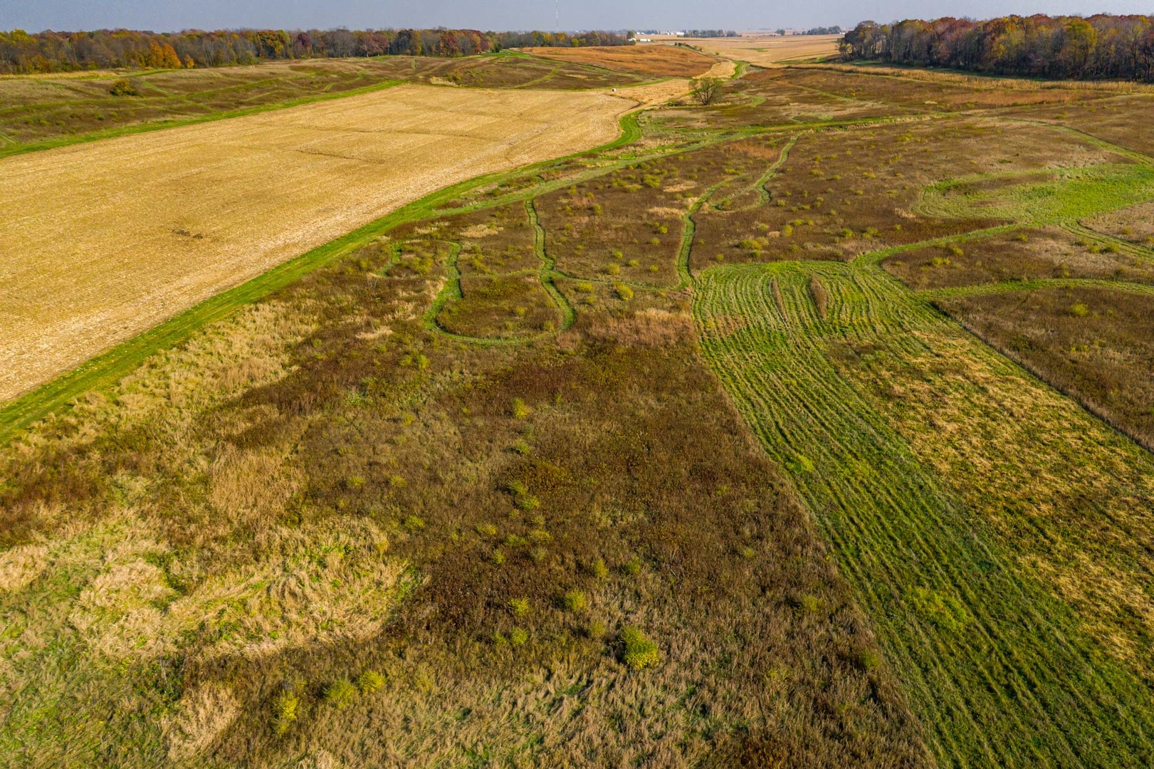 17501 Bishop Road Morrison, IL 61270 - Photo 56 of 167