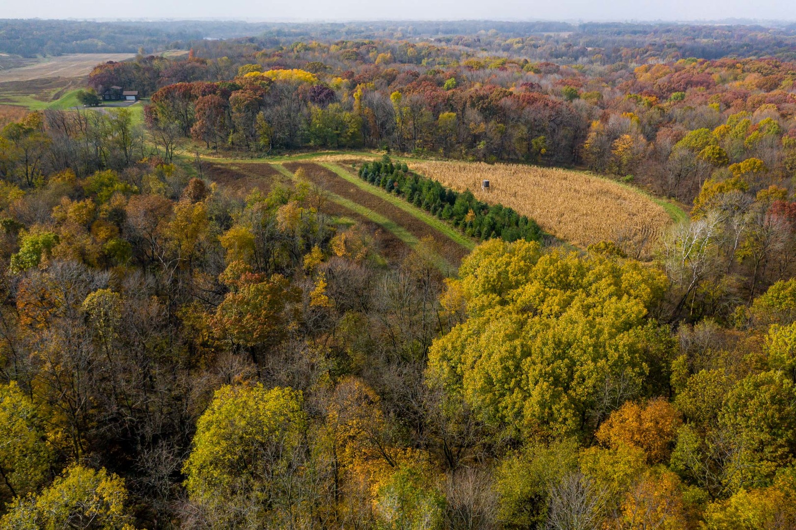17501 Bishop Road Morrison, IL 61270 - Photo 7 of 167 an aerial view of residential houses with outdoor space and trees