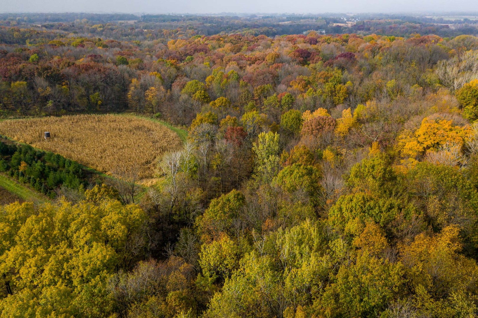 17501 Bishop Road Morrison, IL 61270 - Photo 8 of 167