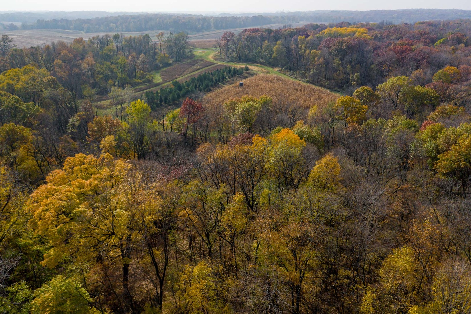 17501 Bishop Road Morrison, IL 61270 - Photo 10 of 167