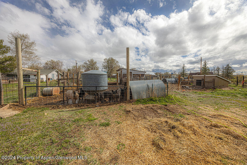 Tbd Union Street Craig, CO 81625 - Photo 4 of 13 a view of a garden