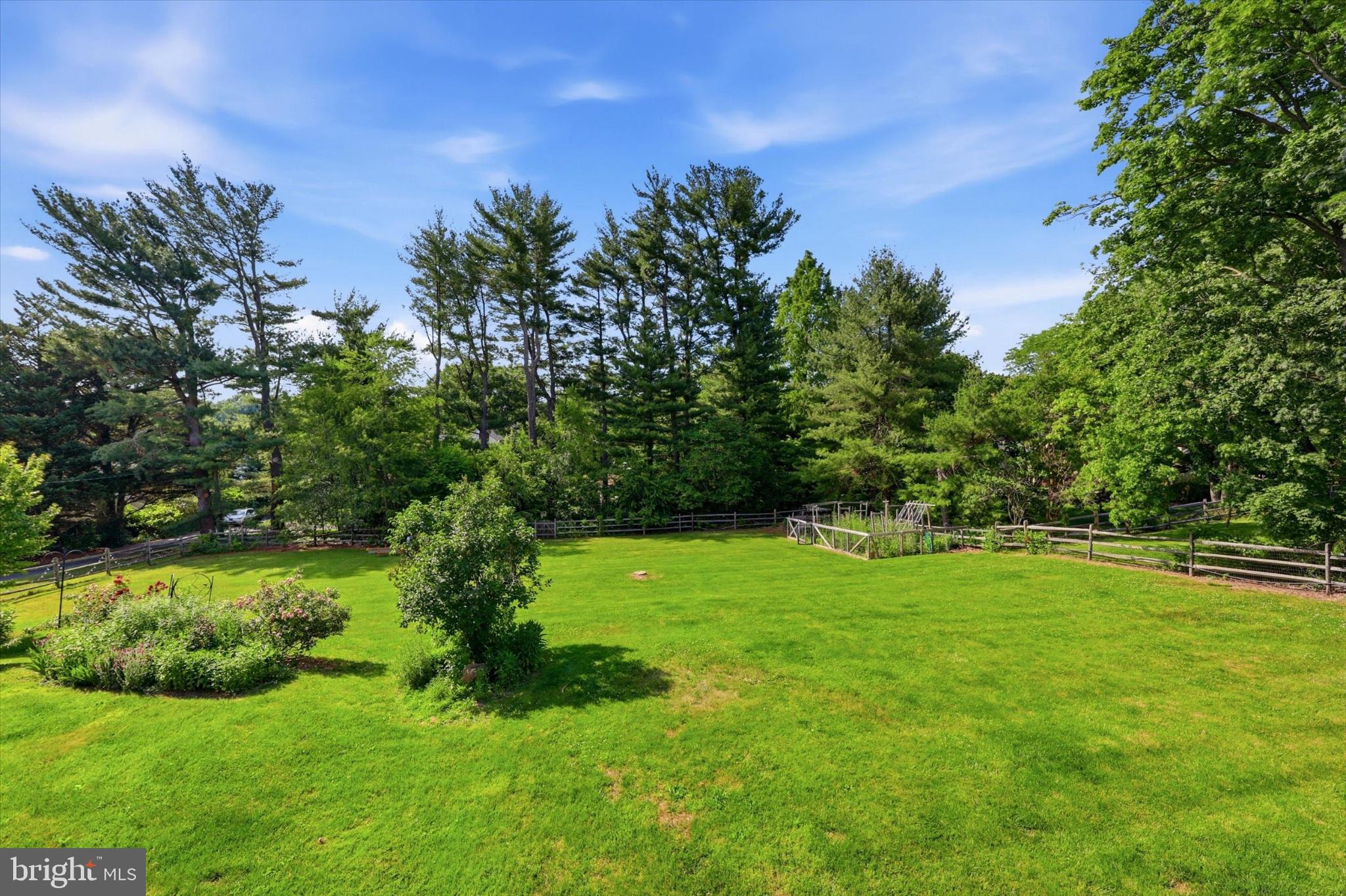 1622 Jarrettown Road Dresher, PA 19025 - Photo 49 of 61 Lush green oasis surrounded by trees.