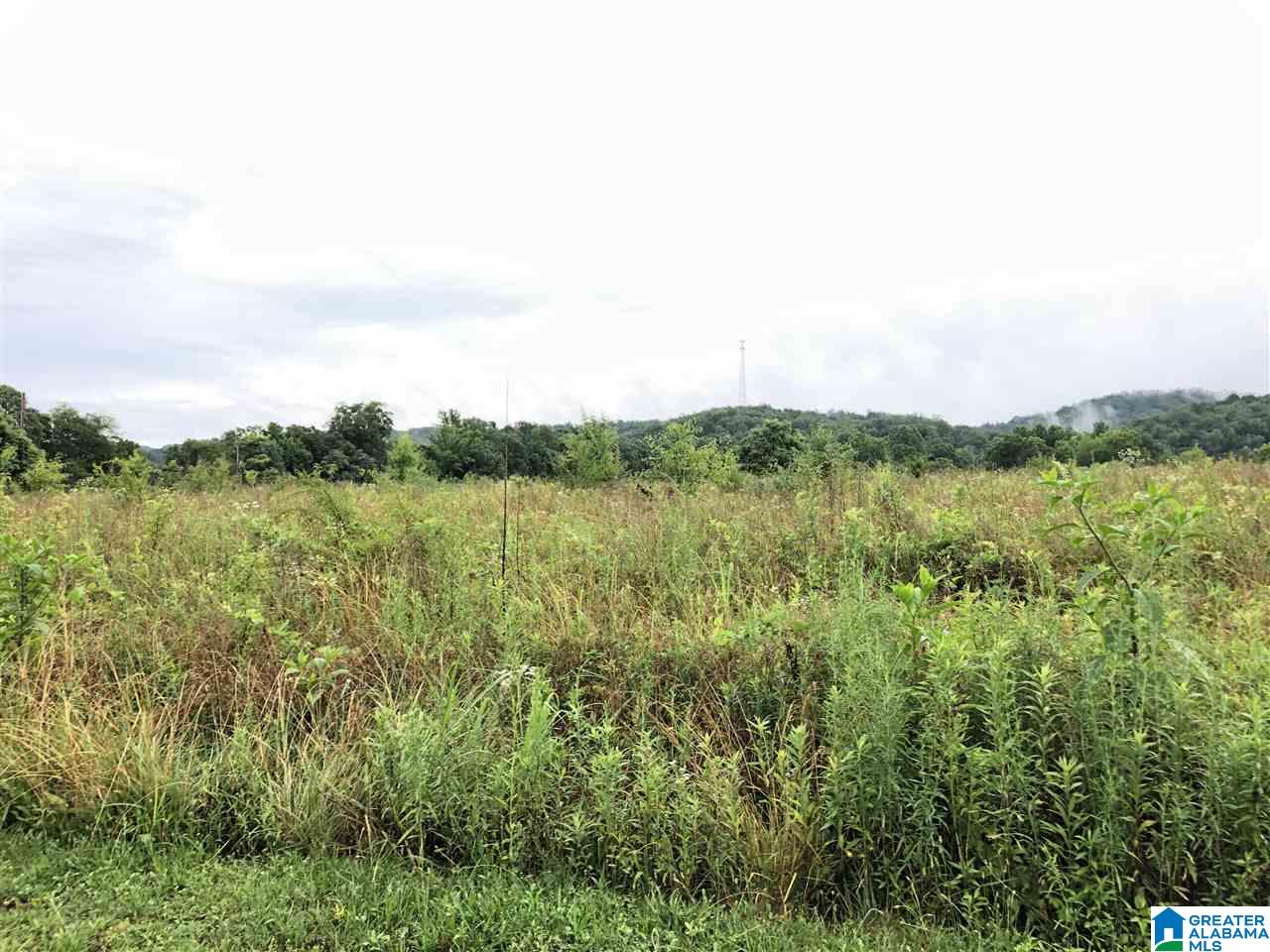 0 Old Downey Mill Road Anniston, AL 36207 - Photo 26 of 28