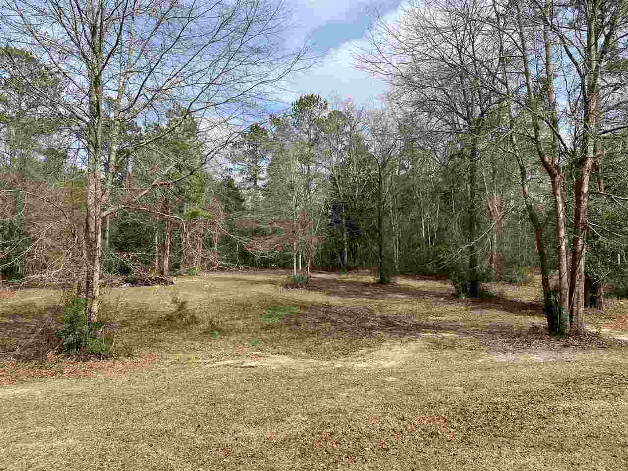8171 Hurricane Road Bay Minette, AL 36507 - Photo 26 of 29 Back