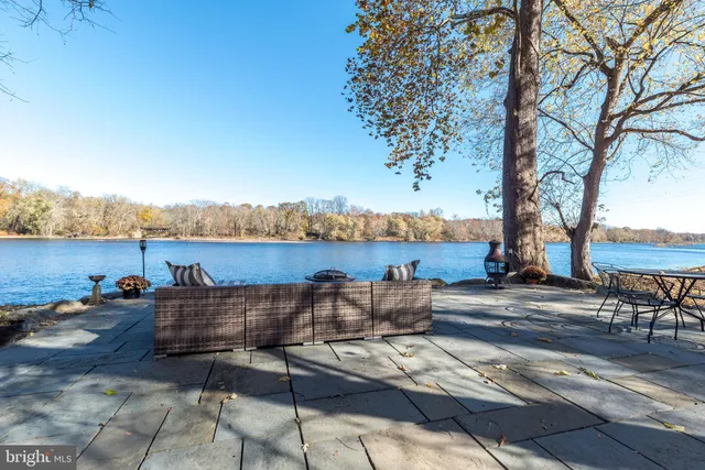 a view of a park with large trees