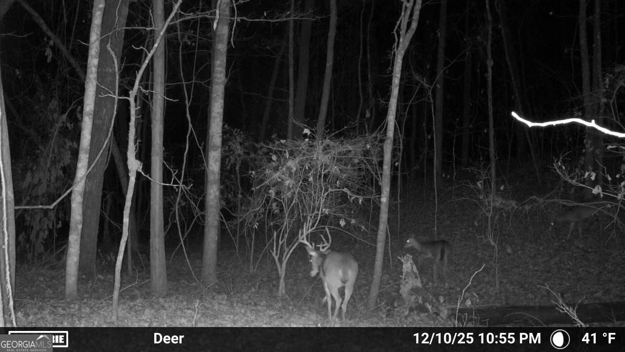 733 Cherry Road Franklin, GA 30217 - Photo 67 of 67 a black and white photo of a room