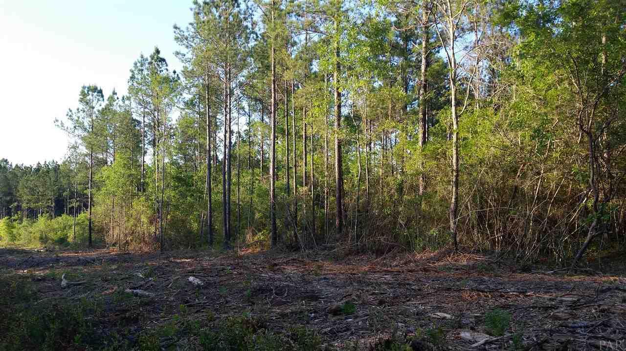 Lot 34 Ten Mile Road Pace, FL 32571 - Photo 1 of 4