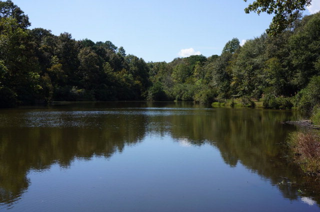0 County Road 57 Abbeville, AL 36310 - Photo 1 of 1