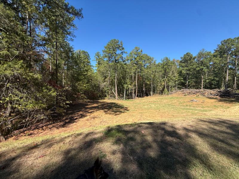 1991 Bankhead Road Southwest Fulton, MS 38843 - Photo 29 of 33 Gallery Image 29