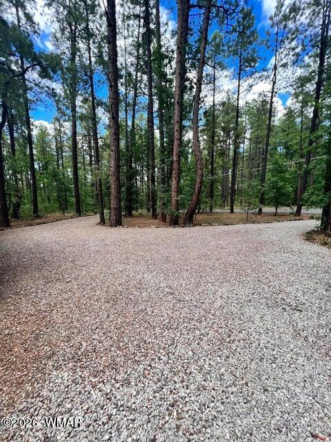 3073 Strawberry Hill Road Pinetop, AZ 85935 - Photo 23 of 23