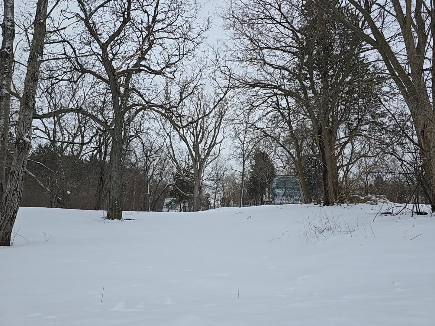 14705 Glendale Road Minnetonka, MN 55345 - Photo 3 of 4