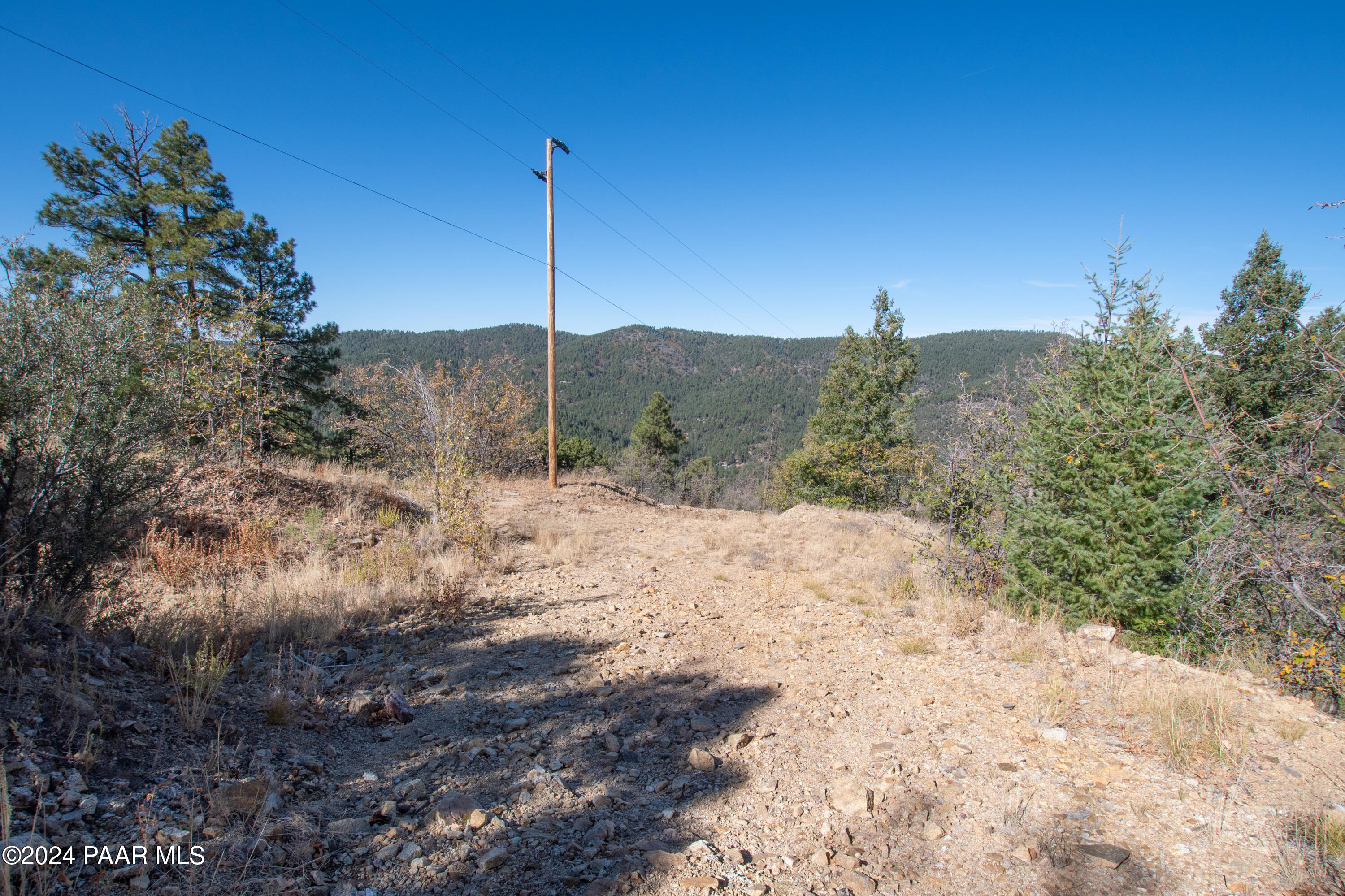 7-xxx South Snowdrift Mine (lot 3) Road Prescott, AZ 86303 - Photo 22 of 38 a view of a dry yard with trees
