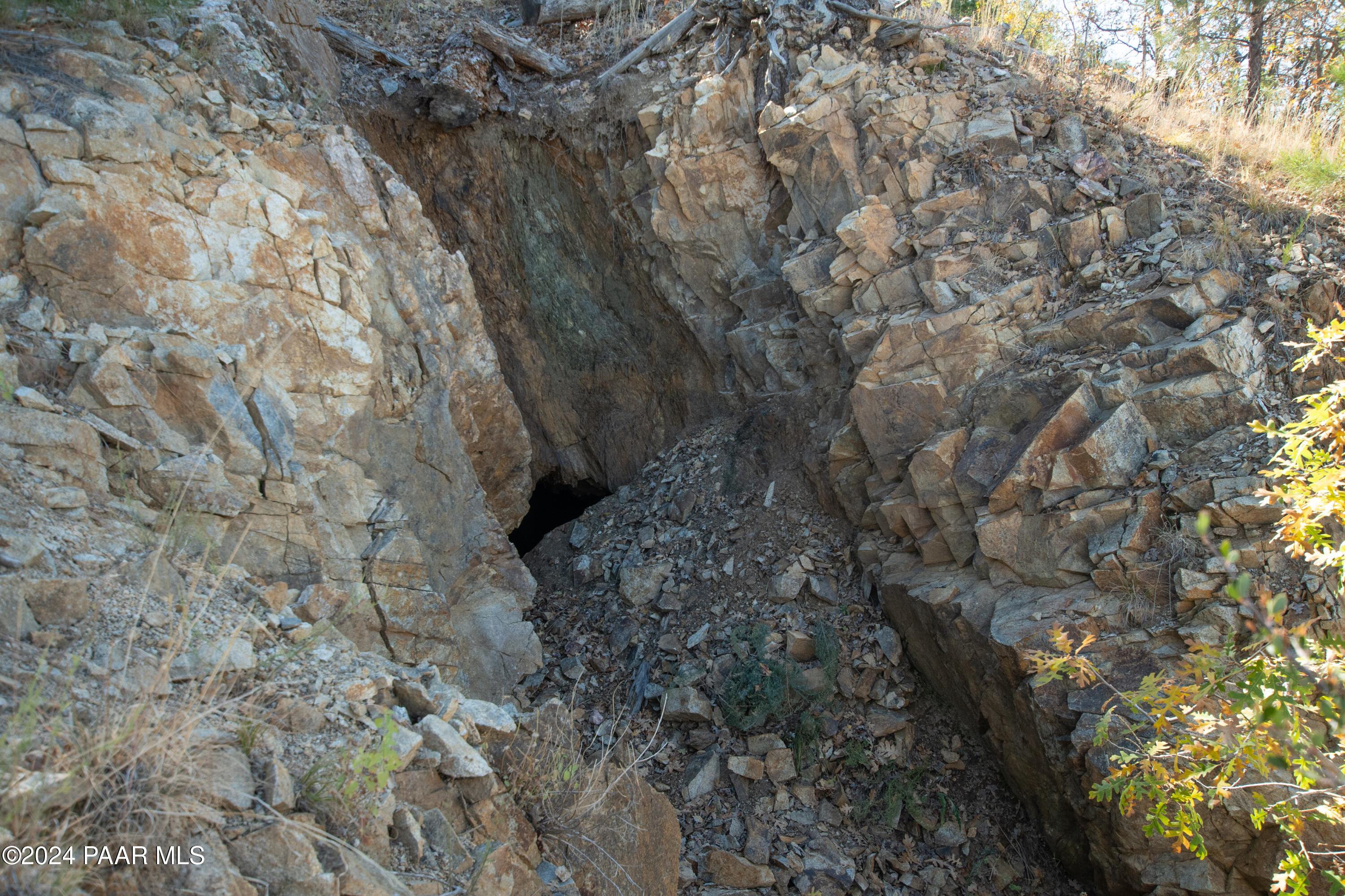 7-xxx South Snowdrift Mine (lot 3) Road Prescott, AZ 86303 - Photo 30 of 38 a view of a yard with a tree