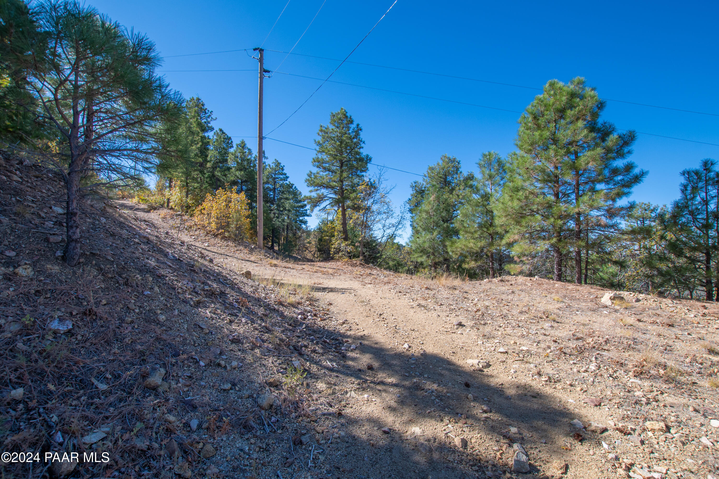 7-xxx South Snowdrift Mine (lot 3) Road Prescott, AZ 86303 - Photo 31 of 38 a view of a dirt road with trees in the background