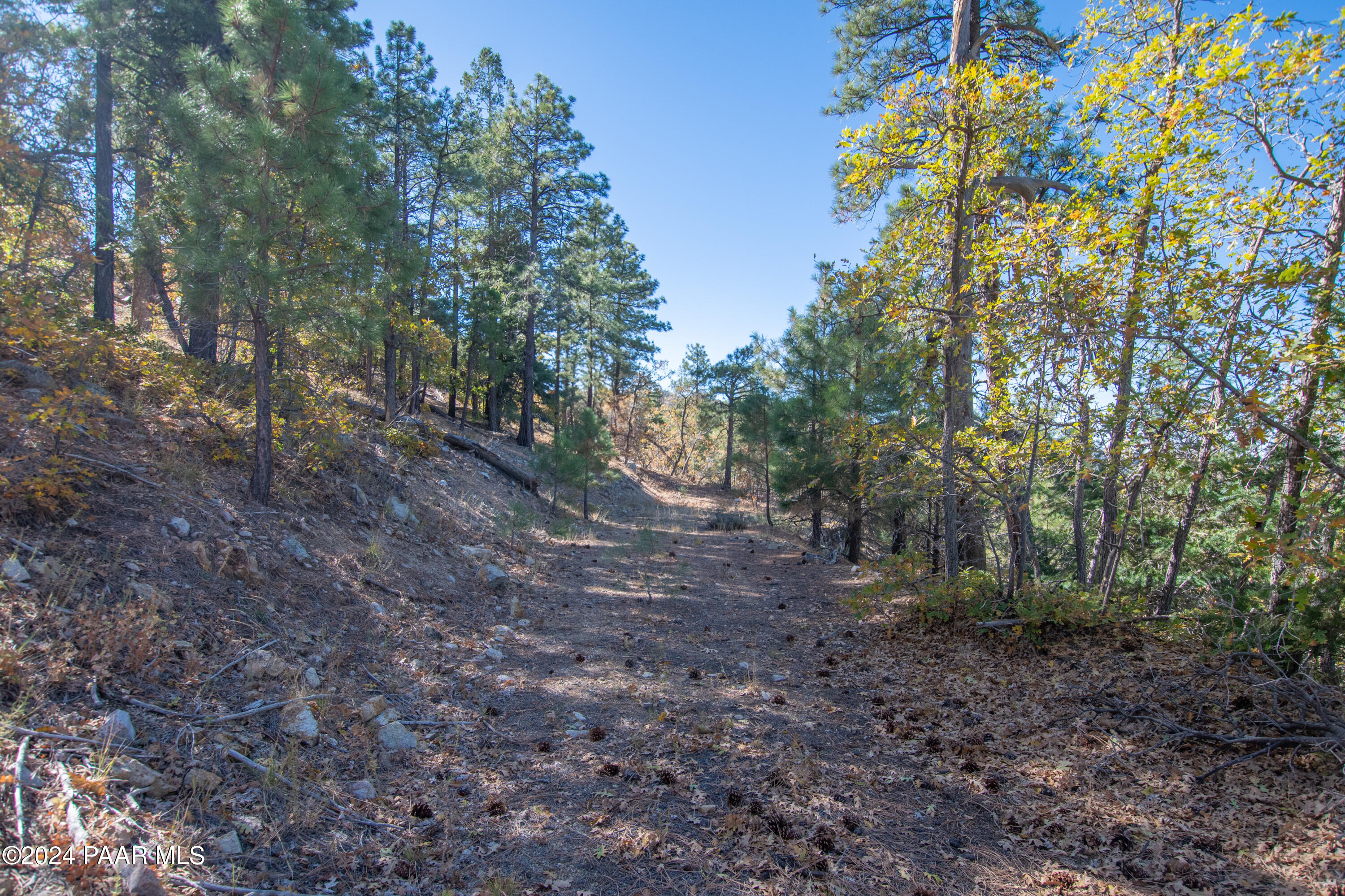 7-xxx South Snowdrift Mine (lot 3) Road Prescott, AZ 86303 - Photo 33 of 38 a view of a forest with trees in the background