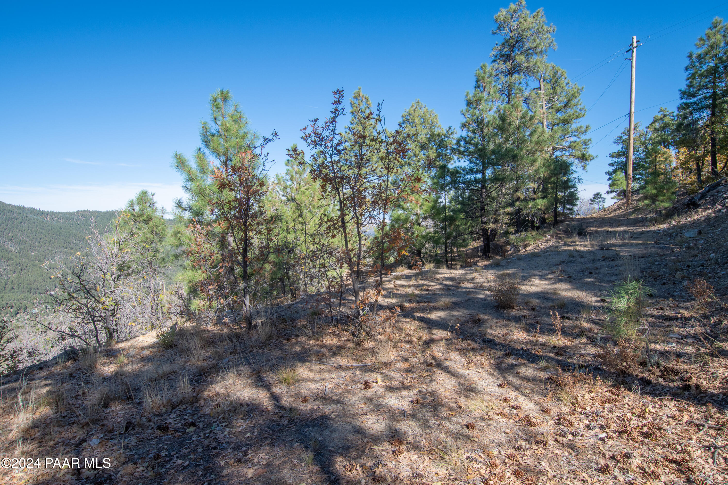7-xxx South Snowdrift Mine (lot 3) Road Prescott, AZ 86303 - Photo 37 of 38 a view of a yard with plants and a trees