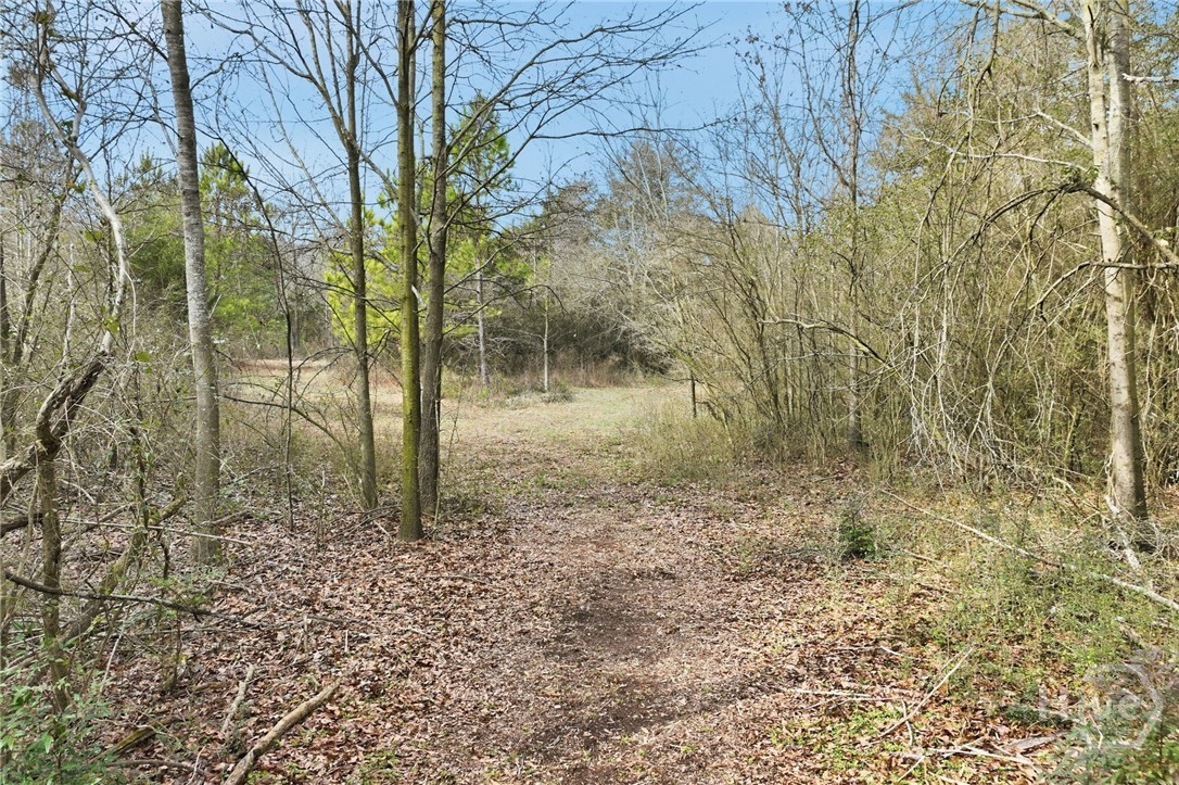 760 Fortson Compton Road Comer, GA 30629 - Photo 53 of 65