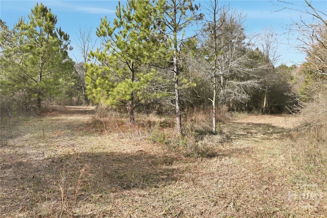 760 Fortson Compton Road Comer, GA 30629 - Photo 54 of 65
