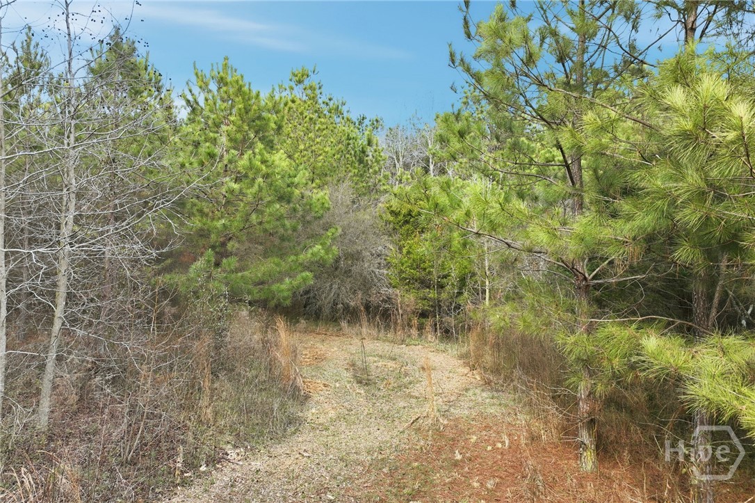 760 Fortson Compton Road Comer, GA 30629 - Photo 55 of 65