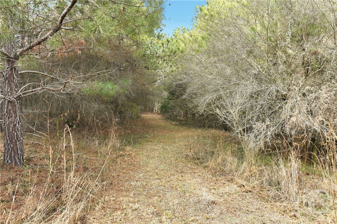 760 Fortson Compton Road Comer, GA 30629 - Photo 56 of 65