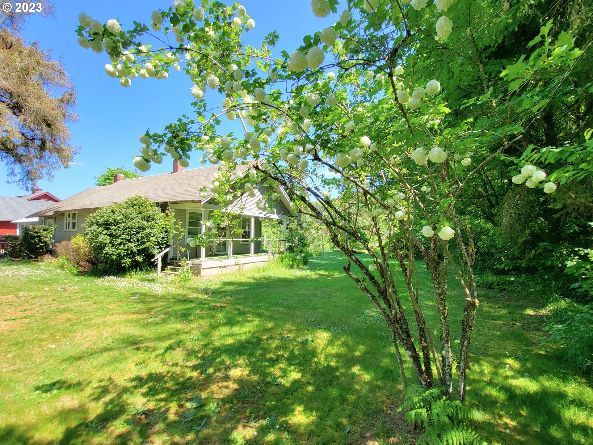 1001 Curtin Road Cottage Grove, OR 97424 - Photo 17 of 24 a view of a big yard with plants and large trees