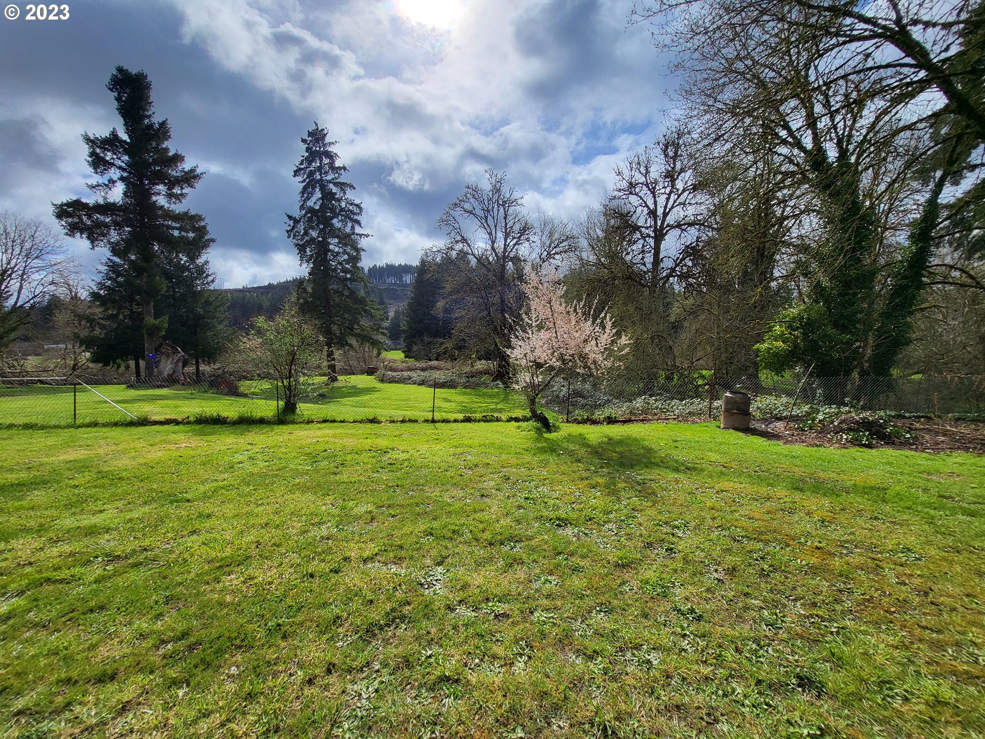 1001 Curtin Road Cottage Grove, OR 97424 - Photo 3 of 24 a view of a park