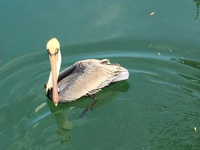a view of ocean from a window