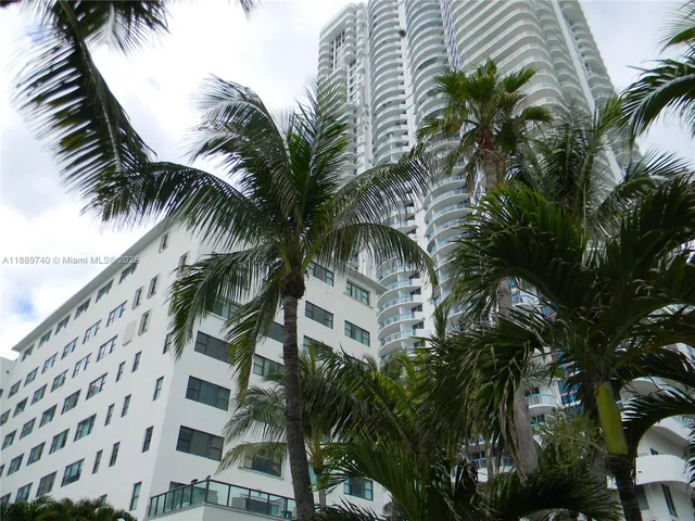 a view of a palm trees in a building