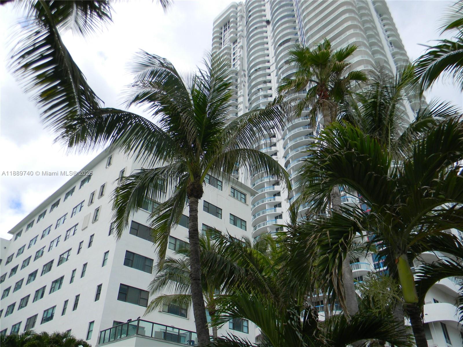 6345 Collins Avenue, Unit 937 Miami Beach, FL 33141 - Photo 11 of 27 a view of a palm trees in a building