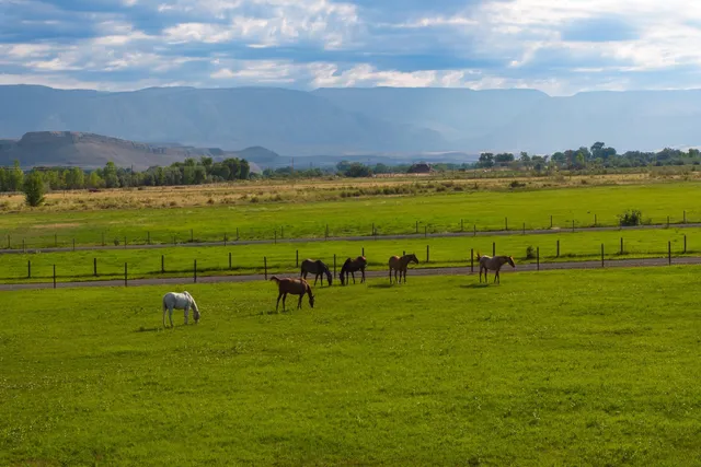 $1,295,000 | 610 Highway 14, Greybull, WY 82426