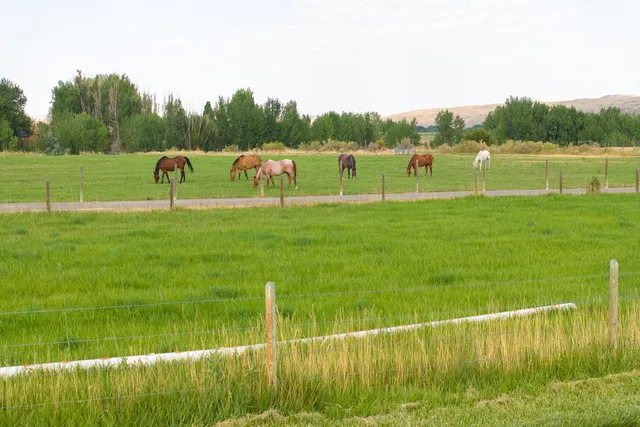 $1,295,000 | 610 Highway 14, Greybull, WY 82426