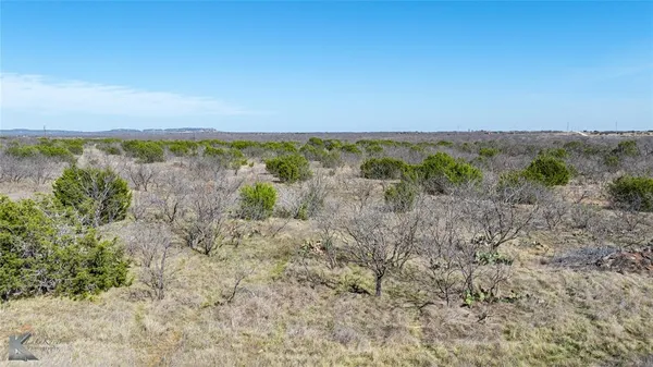 a view of a lush green field with lots of bushes