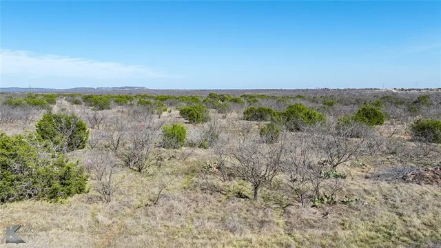 a view of a lush green field with lots of bushes
