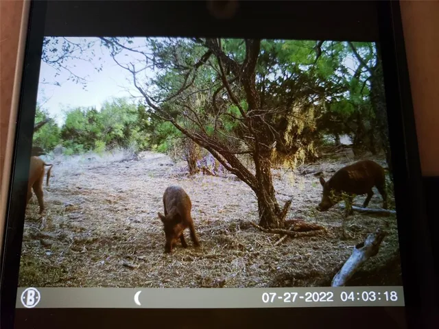 a view of swimming pool from a balcony