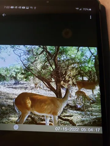 a view of a fireplace in a room