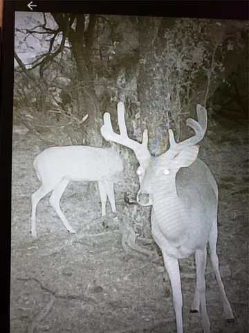 a view of a wooden door