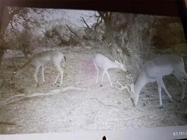 a close view of a sink