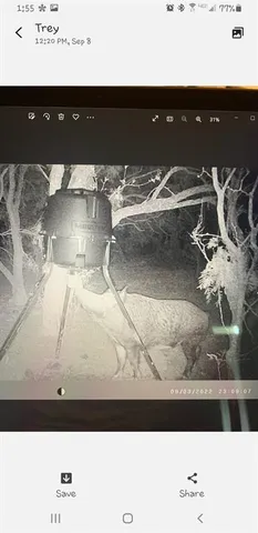 $129,999 | 9 County Road 174, Ovalo, TX 79541