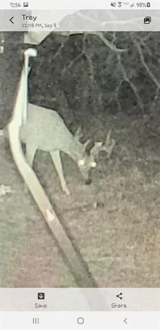 $129,999 | 9 County Road 174, Ovalo, TX 79541