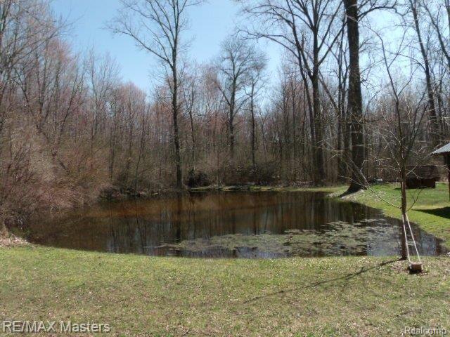 20671 Clark Road Belleville, MI 48111 - Photo 20 of 22 027.JPG