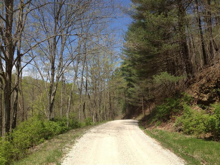 1 Cranefork Road Booneville, KY 41314 - Photo 5 of 5 Photo 5