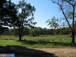 120 Auburn Road Pilesgrove, NJ 08098 - Photo 3 of 3 Gallery Image 3