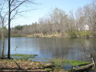 3 Paddle Elloree, SC 29047 - Photo 1 of 1