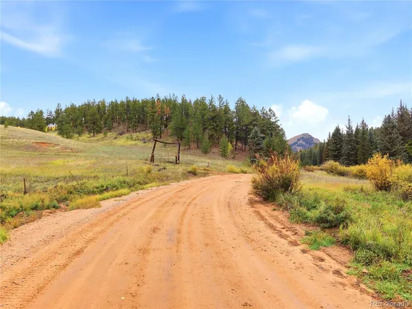 $2,500,000 | 8567 Cr-3 Divide, Lake George, CO 80827