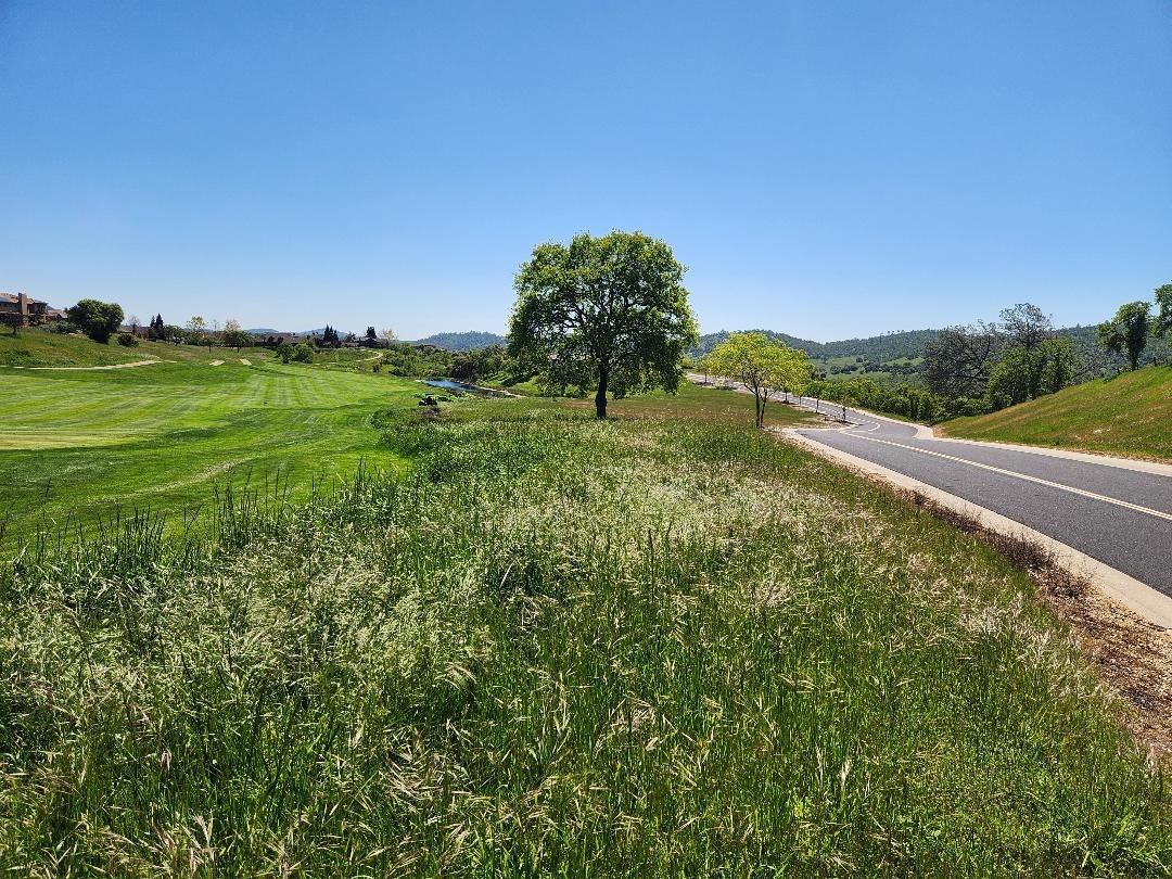 810 Hawkridge Road, Unit 6 HAWKRIDGE 473 Copperopolis, CA 95228 - Photo 5 of 10 a view of a lush green outdoor space with a lake view