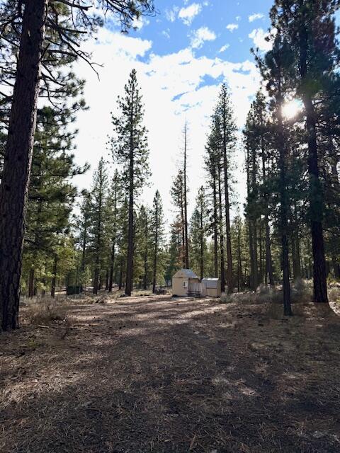 Deer Tracks Old Station, CA 96071 - Photo 2 of 4 a view of outdoor space with trees