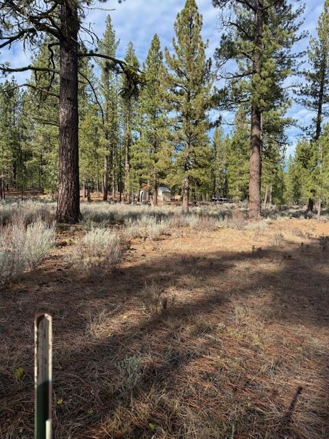 Deer Tracks Old Station, CA 96071 - Photo 3 of 4 a backyard of a house with lots of green space