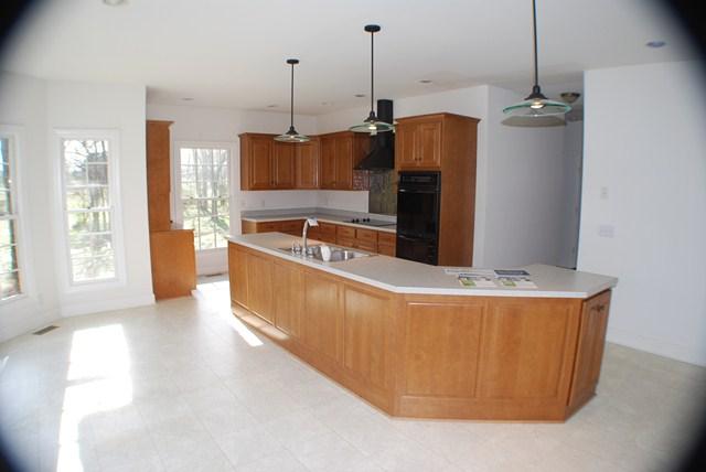 6254 Ladd Road College Grove, TN 37046 - Photo 3 of 15 KITCHEN